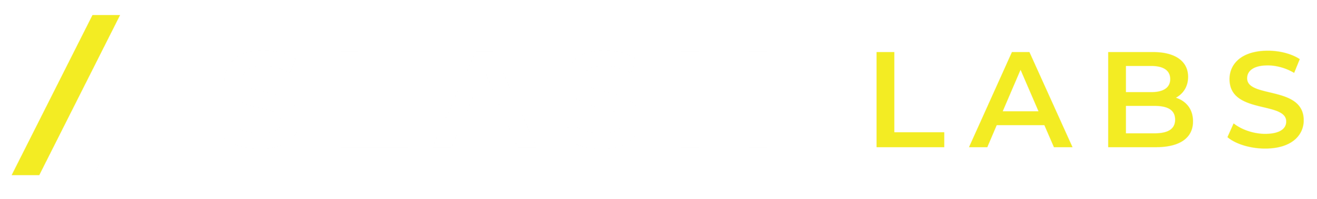 SLASH LAB WY-01